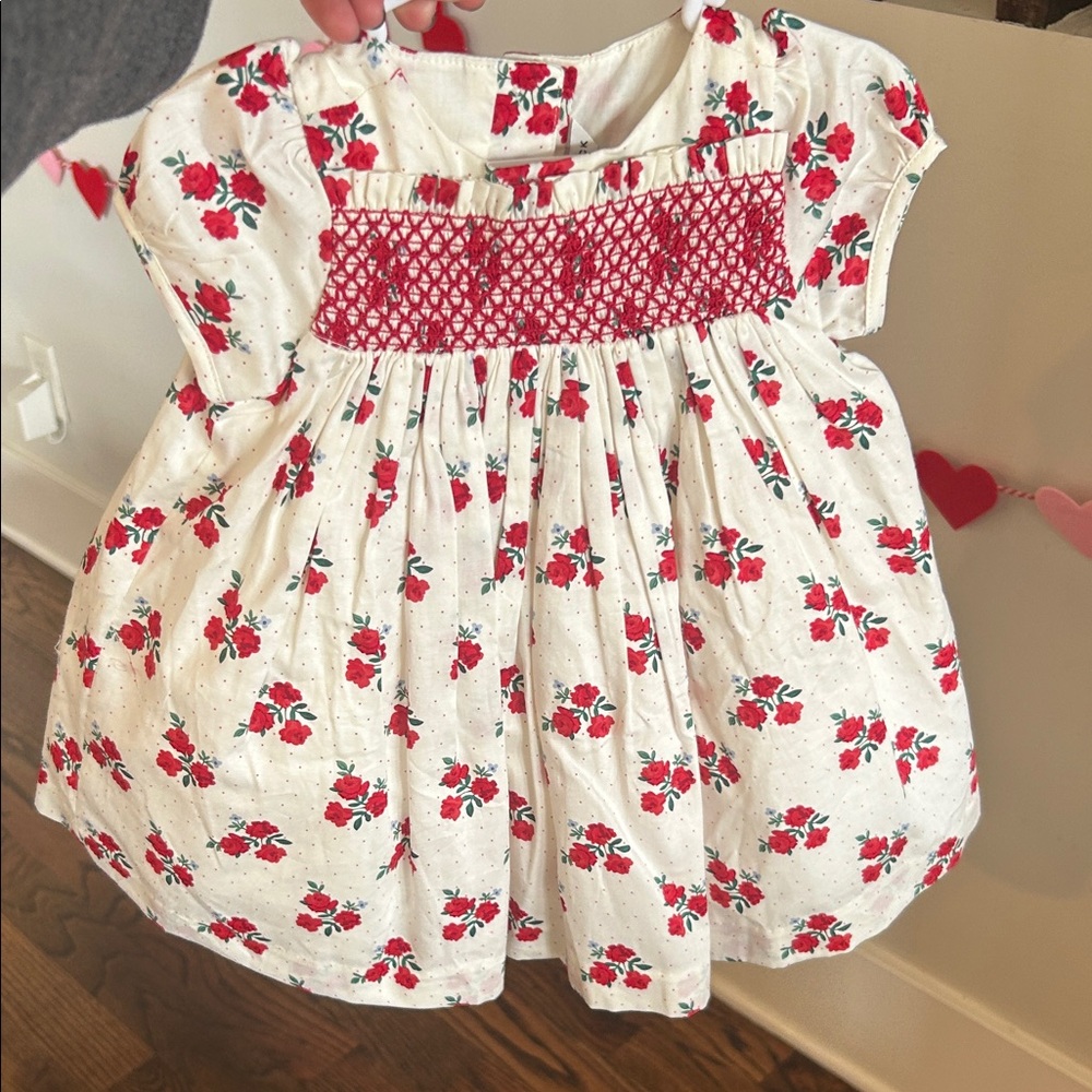 Janie and Jack Floral Baby Dress with Red Accents and bloomers